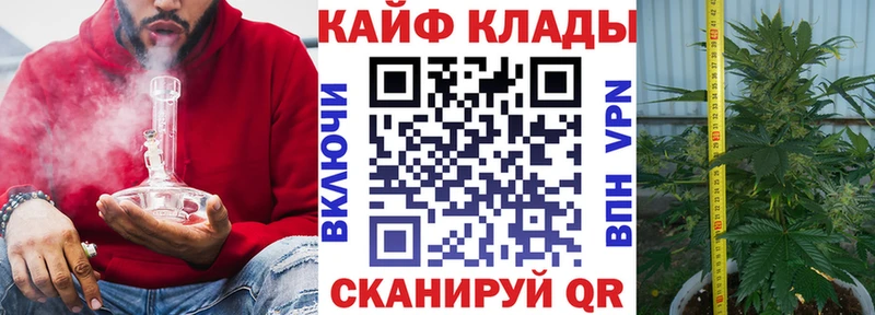 Псилоцибиновые грибы Балей