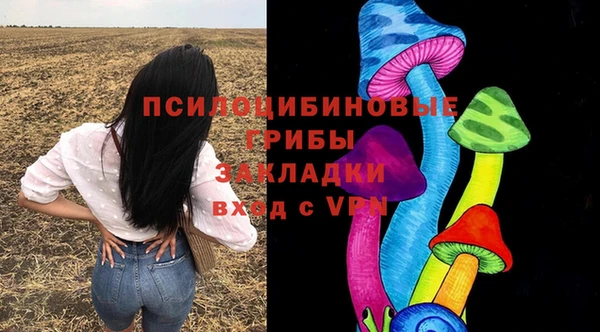 спиды Горно-Алтайск