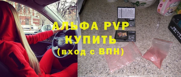 хмурый Гусь-Хрустальный