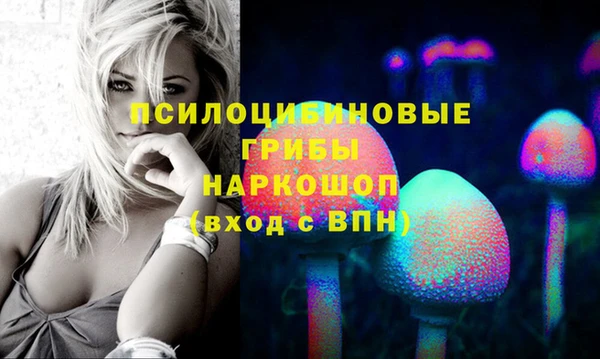 дурь Горняк