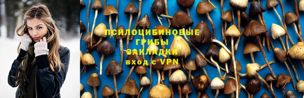 дурь Горняк