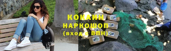хмурый Гусь-Хрустальный