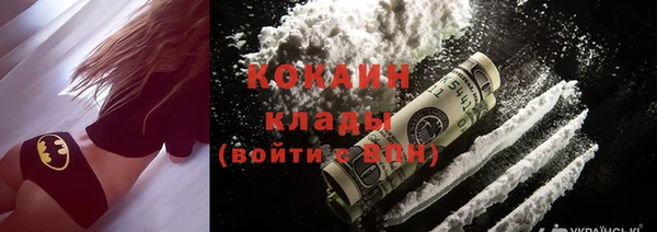 гидра Гусев