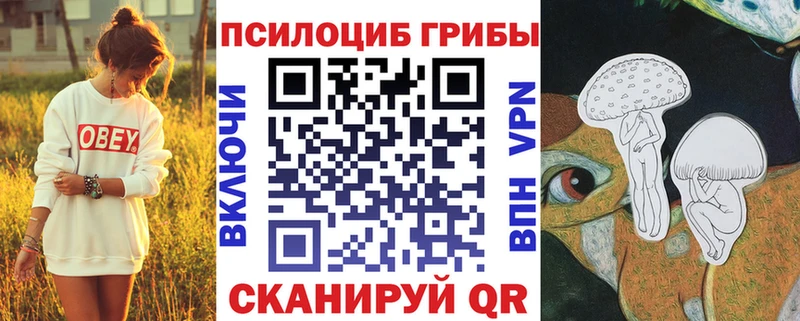 Купить закладки  Балей  Галлюциногенные грибы мухоморы 