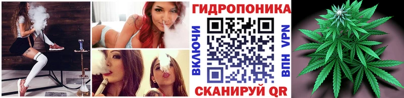 Купить закладки Балей Бошки марихуана семена